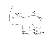 rhino