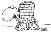 turtle