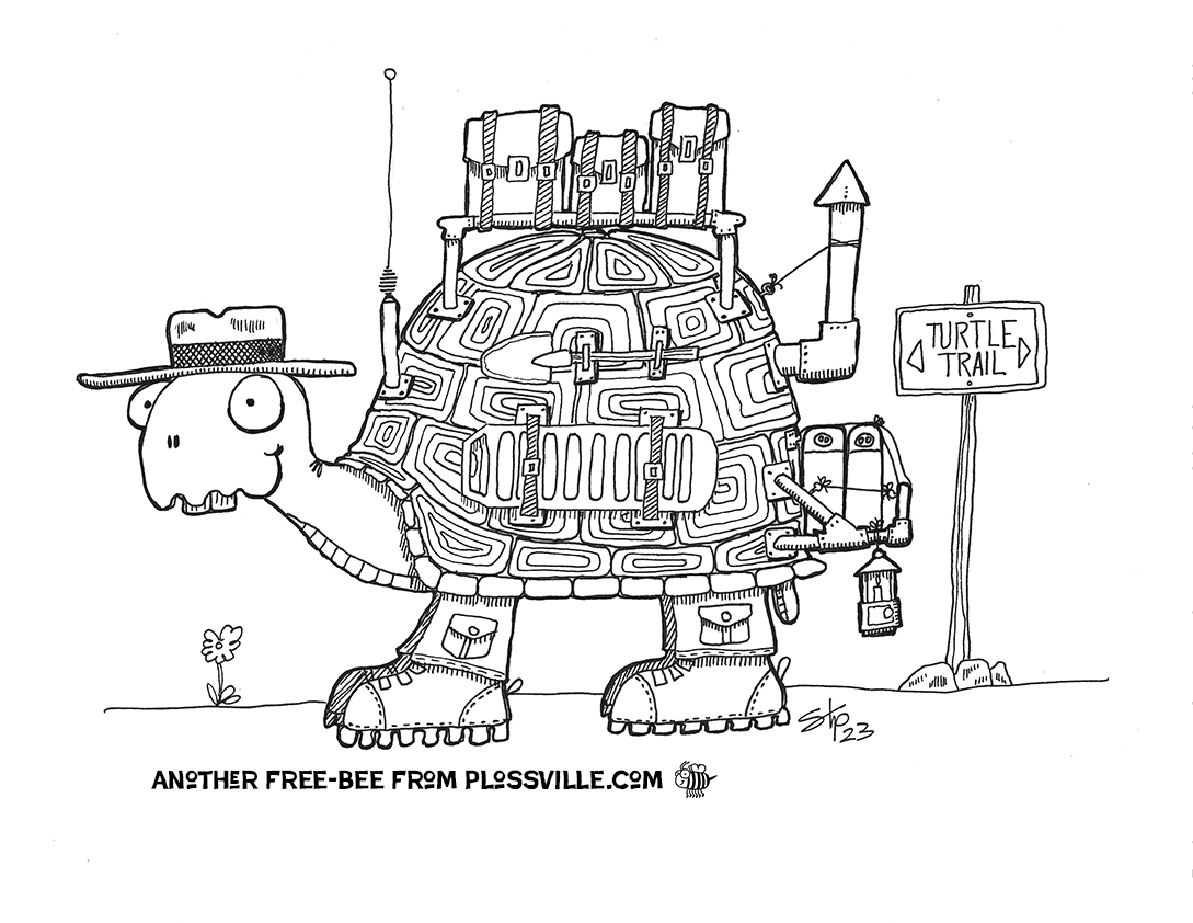 Adventure Turtle